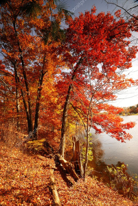 Autumn Paint Colors
