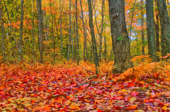 Benjamin Moore Paint Fall Color in Space