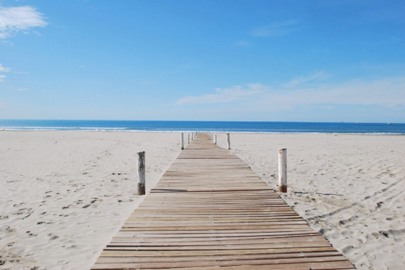 Color in Space Beach Palette™ inspiration