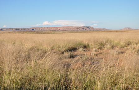 Prairie Palette™ inspiration