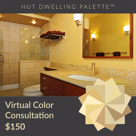 Color in Space Hut Palette Virtual Consultation for $150