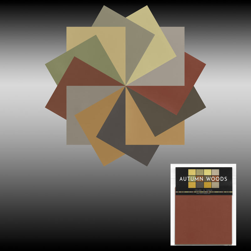 Color in Space Autumn Woods Palette™