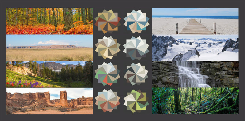 MOMMA’s Paint Color Palette™ Package