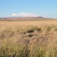 Prairie Palette™ inspiration